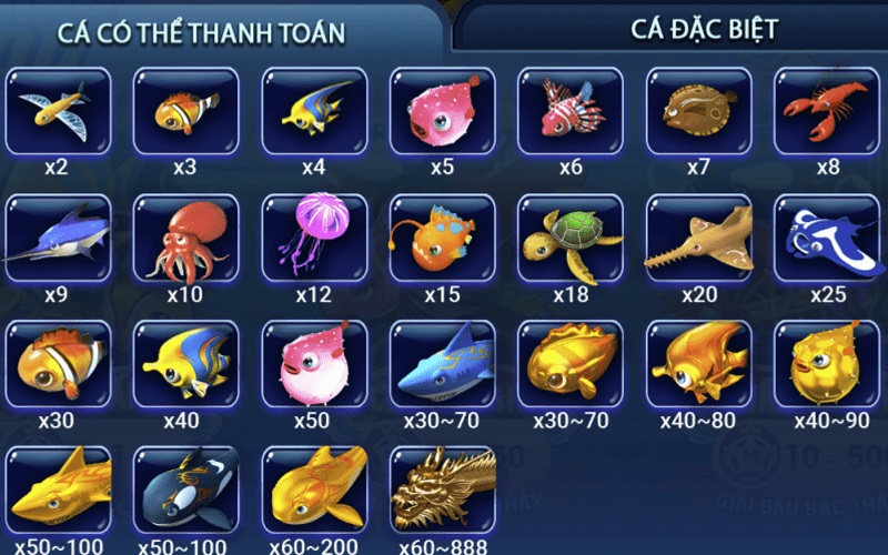 Lý do nên lựa chọn